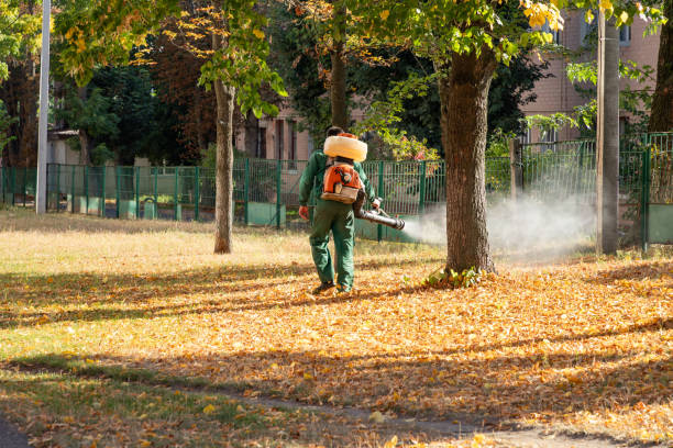 Best Mosquito Control Services  in Helena, OK