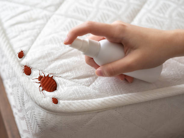 Best Affordable Pest Control Services  in Helena, OK